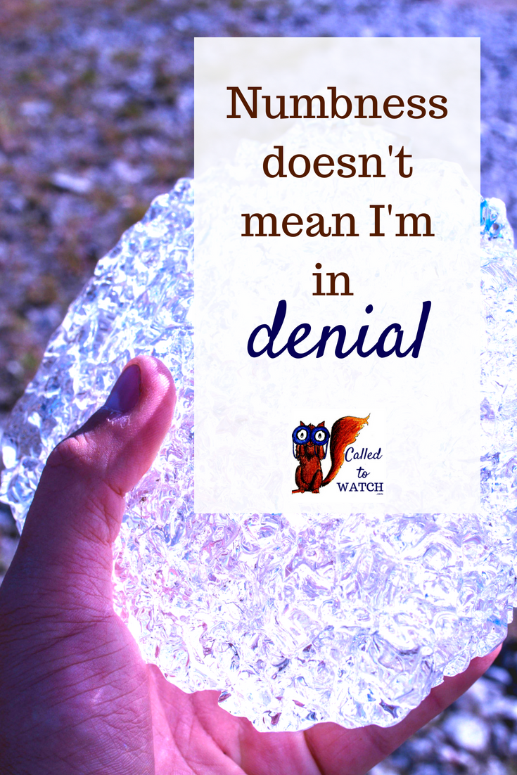 numb im not in denial. www.calledtowatch.com _ #chronicillness #suffering #loneliness #caregiver #pain #caregiving #emotions #faith #God #Hope